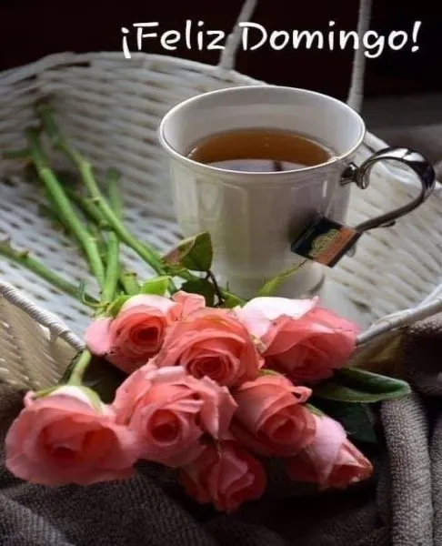 feliz-domingo-con-cafe-y-flores