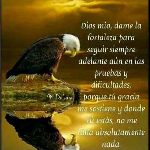 fortaleza-frases-de-dios-en-momentos-dificiles