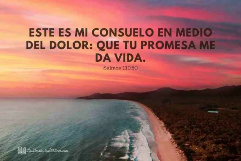 frases-de-consuelo-y-fortaleza