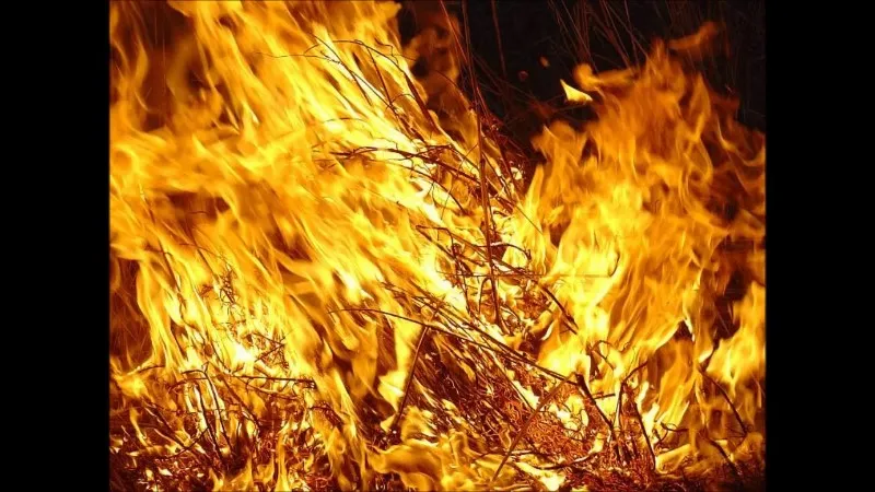 fuego-ardiendo