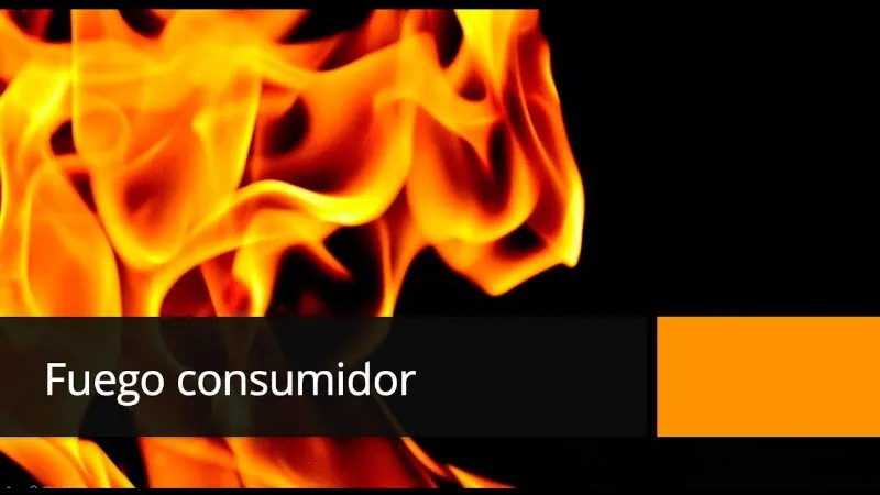 fuego-consumidor