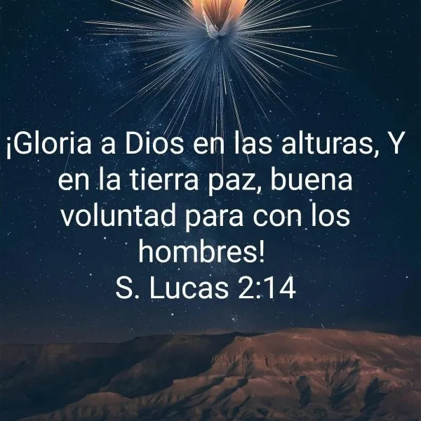 gloria-dios-en-el-cielo-y-en-la-tierra-paz