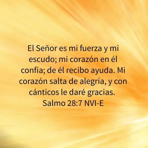 gratitud-salmos-de-agradecimiento