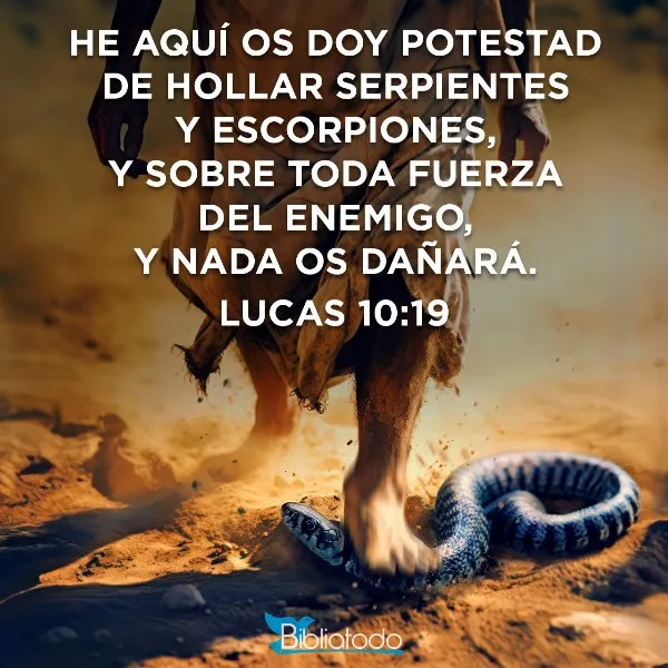 hollar-serpientes-y-escorpiones