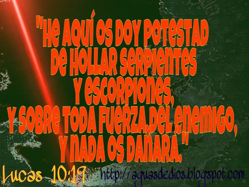 hollar-serpientes-y-escorpiones