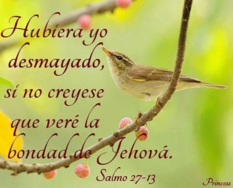 hubiera-yo-desmayado-sino-creyese