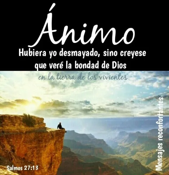 hubiera-yo-desmayado-sino-creyese