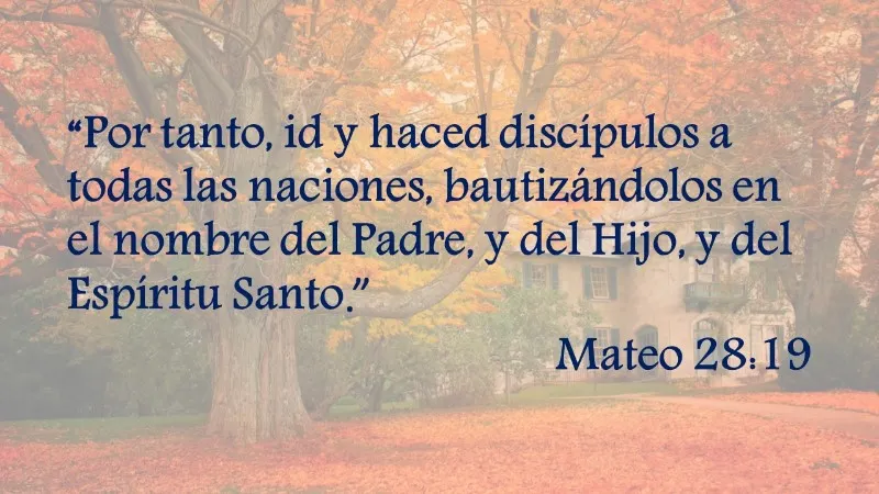 id-por-todo-el-mundo-y-haced-discipulos