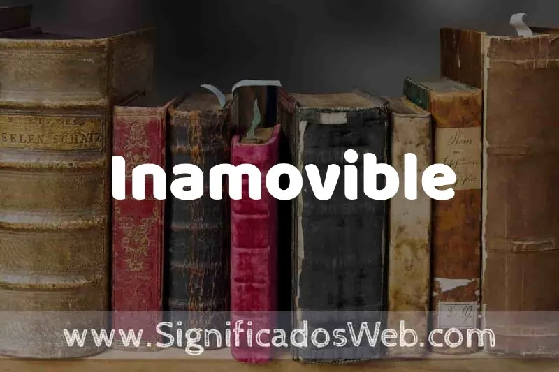 inamovible-significado