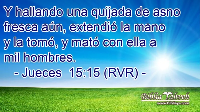 jueces-15