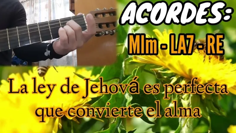 la-ley-de-jehova-es-perfecta