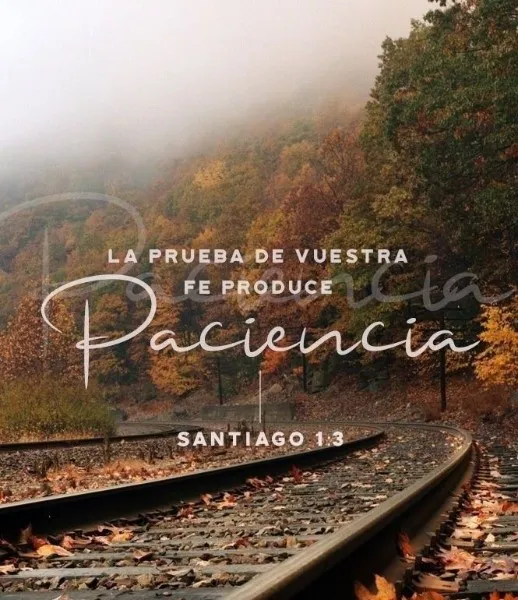 la-prueba-produce-paciencia