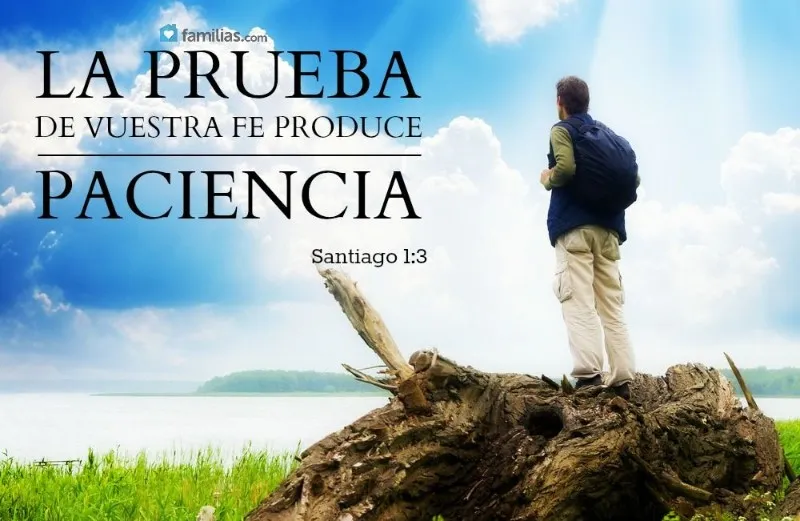 la-prueba-produce-paciencia