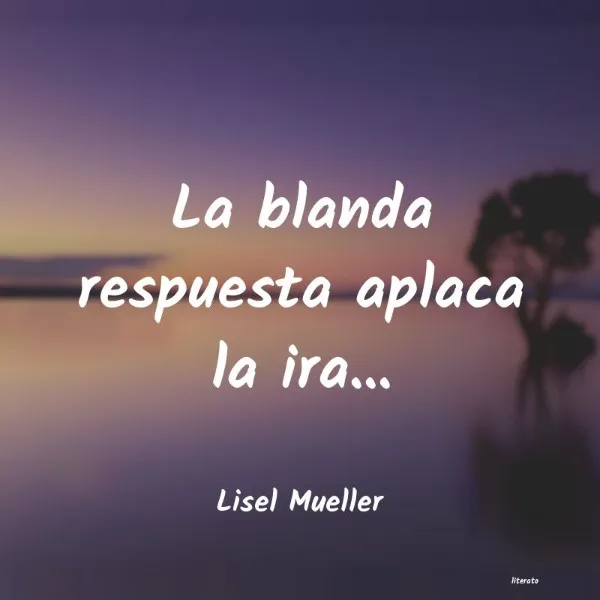 la-respuesta-blanda-aplaca-la-ira