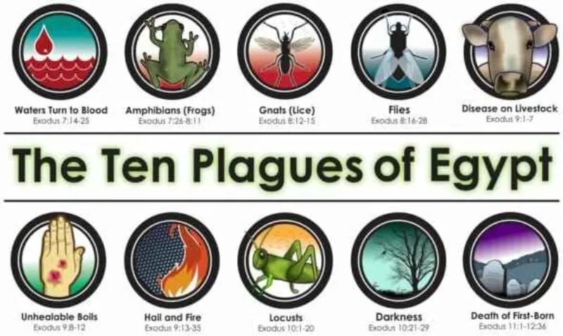 las-10-plagas-de-egipto-en-orden