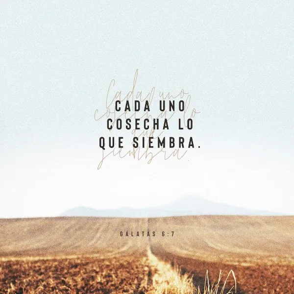 lo-que-el-hombre-sembrare-eso-segara