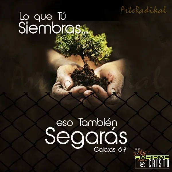 lo-que-el-hombre-sembrare-eso-segara