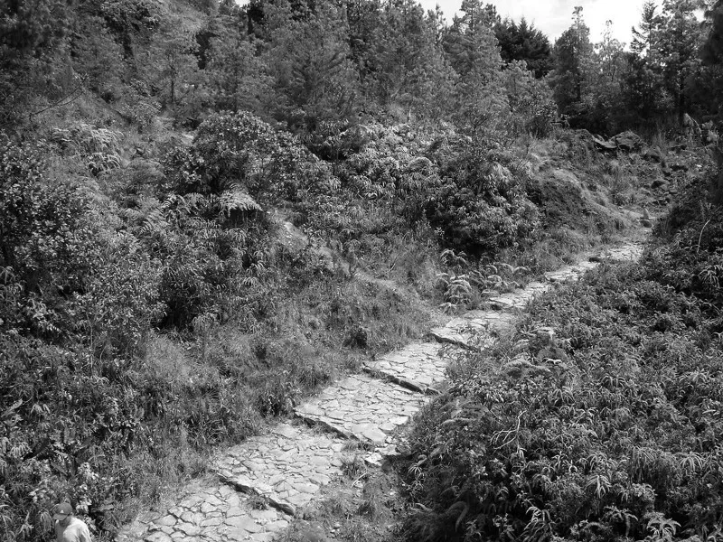 los-caminos-antiguos