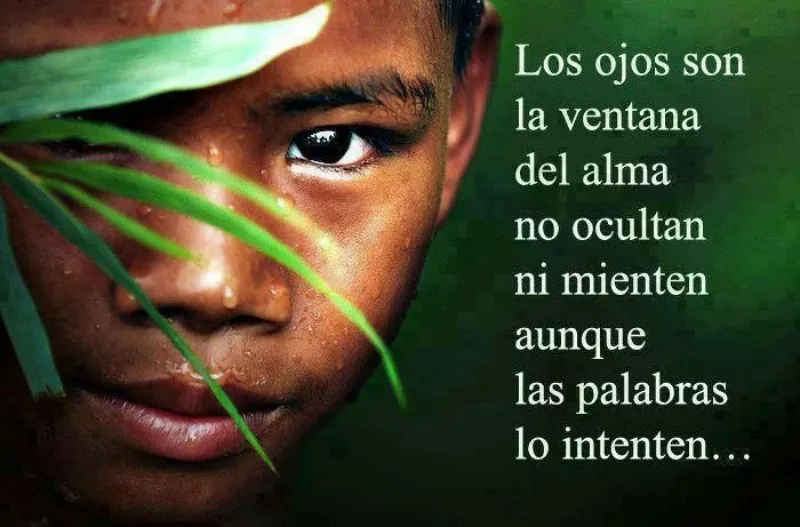 los-ojos-son-la-ventana-del-alma