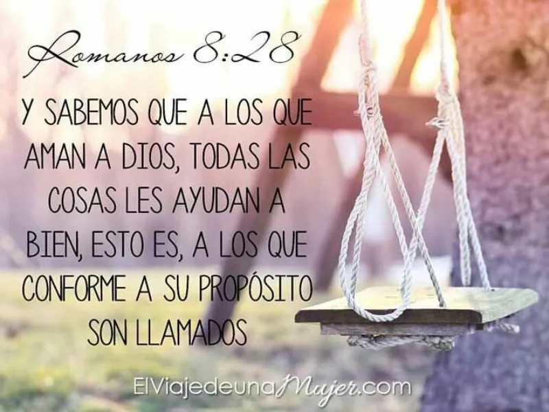 los-q-aman-a-dios-todas-las-cosas