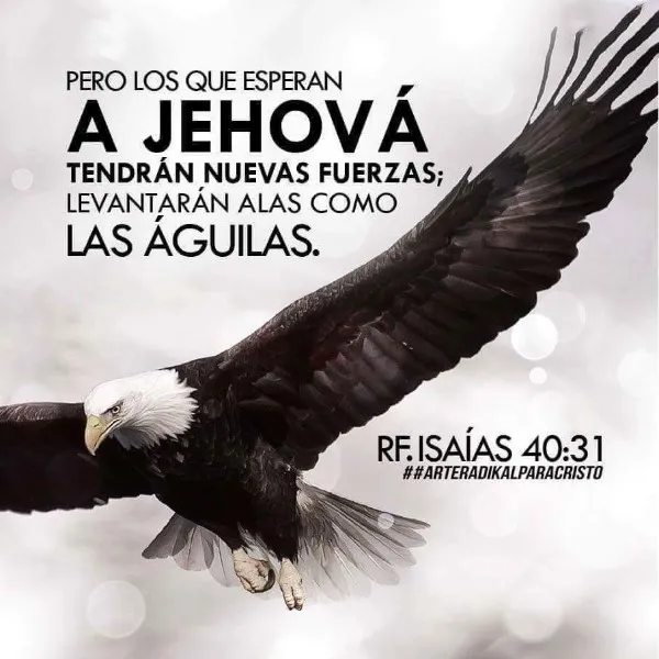 los-q-esperan-en-jehova