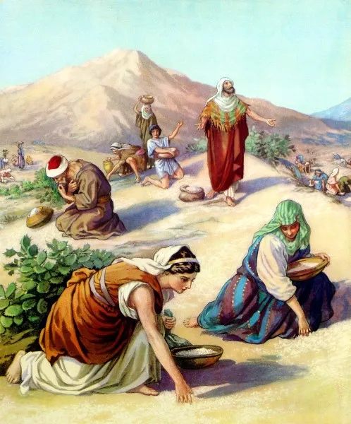mana-del-cielo-biblia