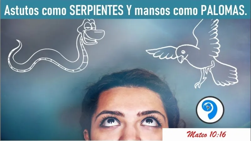 Manso Como Paloma Y Astuto Como Serpiente