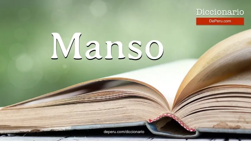 manso-significado