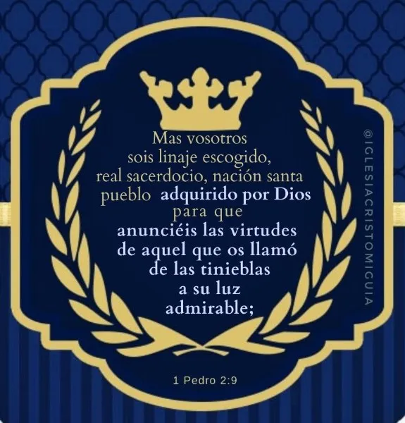 mas-vosotros-sois-linaje