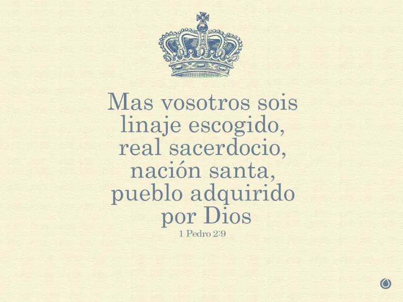 mas-vosotros-sois-linaje