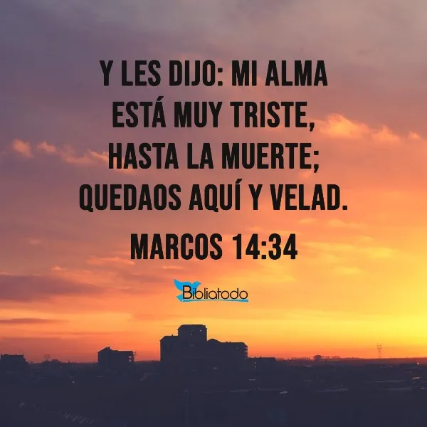 mi-alma-esta-triste-hasta-la-muerte