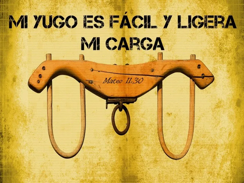 mi-yugo-es-facil-y-ligera-mi-carga