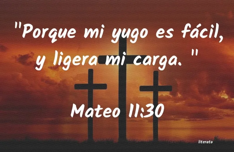 mi-yugo-es-facil-y-ligera-mi-carga