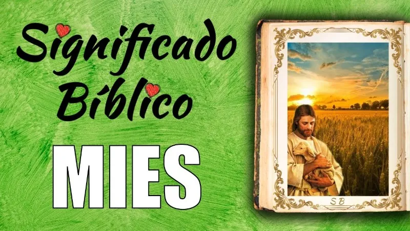 mies-significado-biblico