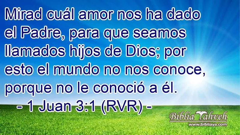 mirad-cual-amor-nos-ha-dado-el-padre