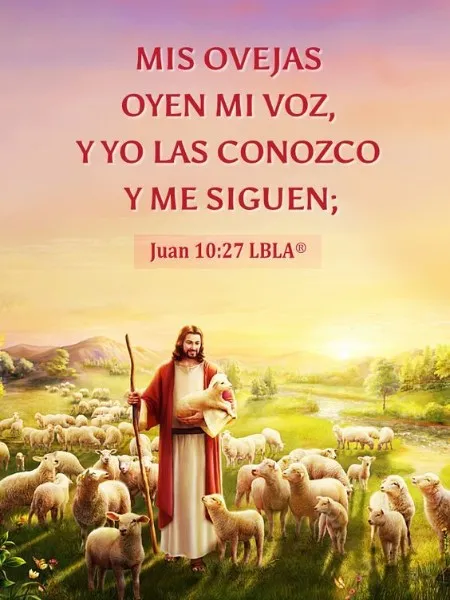 mis-ovejas-oyen-mi-voz