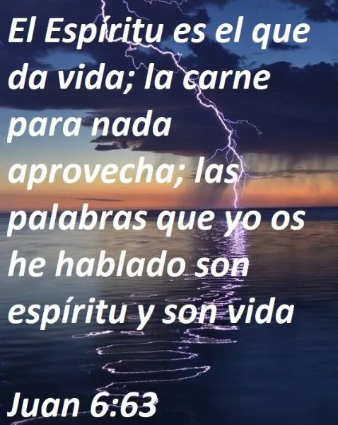 mis-palabras-son-espiritu-y-son-vida