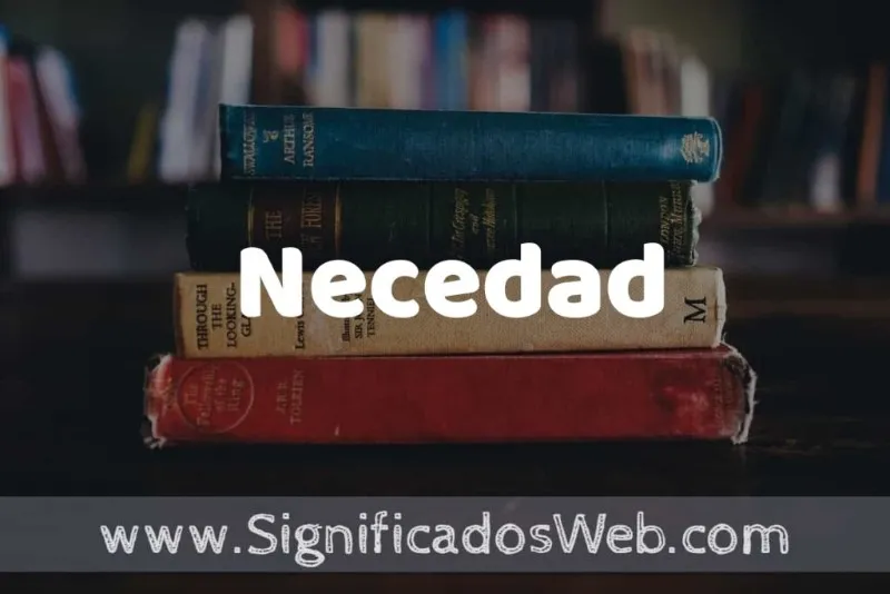 necedad-significado