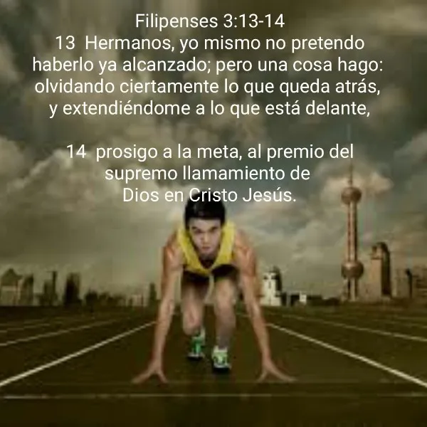 no-pretendo-haberlo-alcanzado-todo