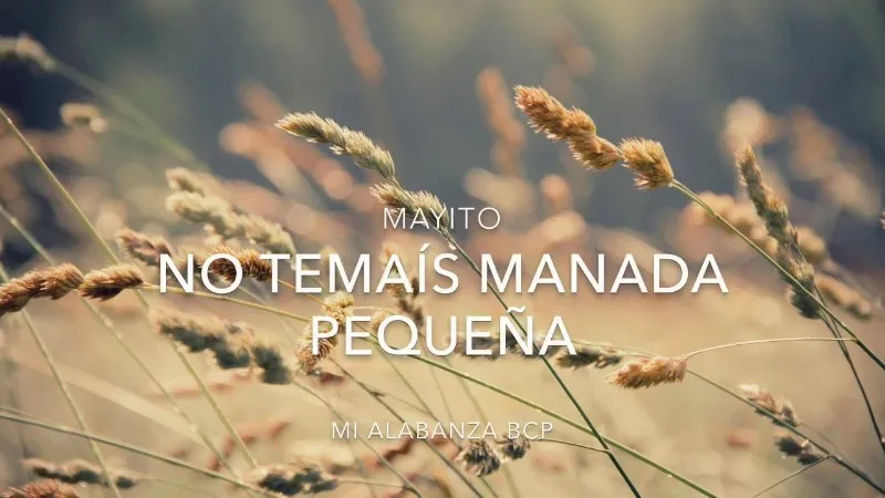 no-teman-manada-pequena