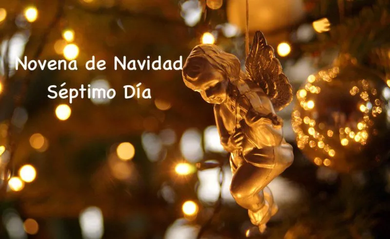 novena-davidena