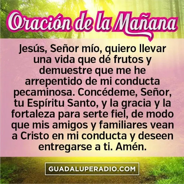 oracion-diaria-catolica