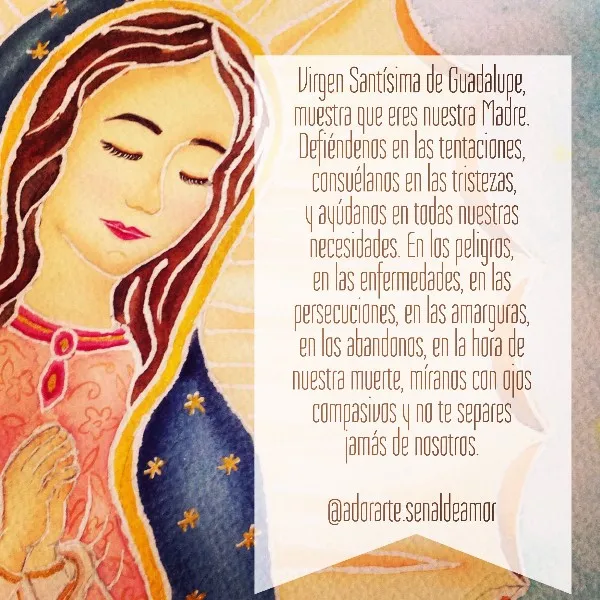 oracion-virgencita-de-guadalupe