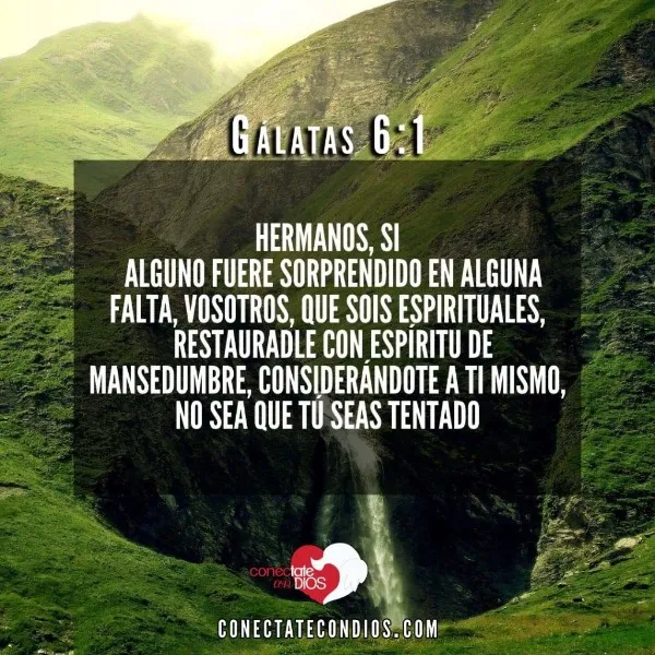 palabras-de-restauracion