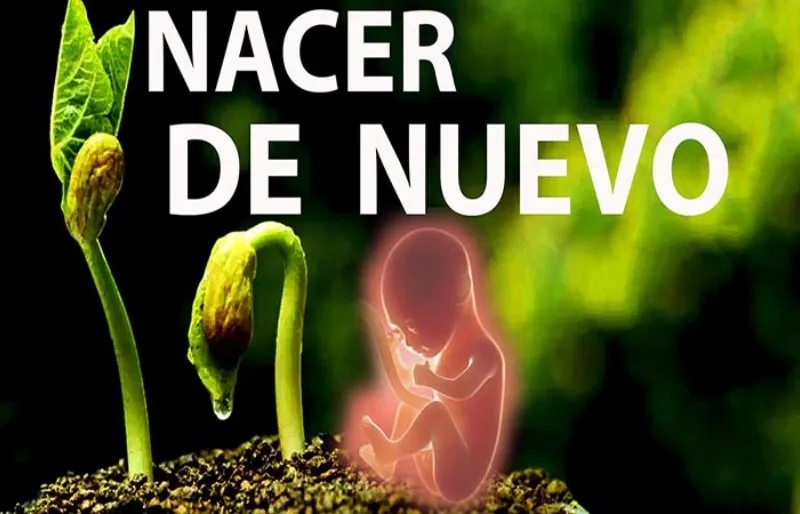 para-llegar-a-este-nivel-tienes-q-nacer-de-nuevo