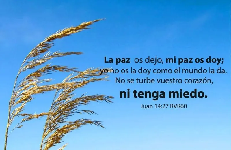 paz-significado-biblico