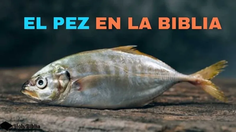 pez-remo-en-la-biblia