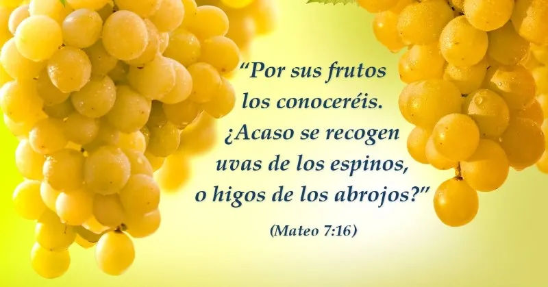 por-sus-frutos-los-conocereis