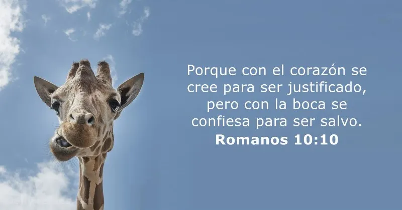 porque-con-el-corazon-se-cree-para-justicia