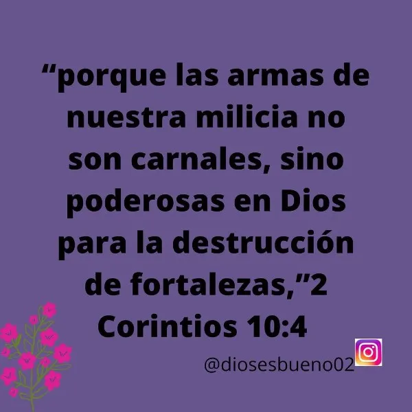 porque-las-armas-de-nuestra-milicia-no-son-carnales